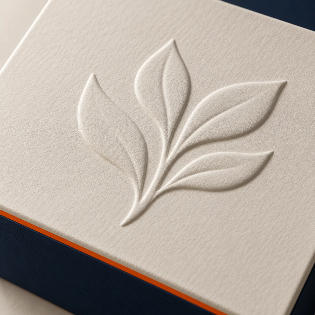 Raised blind-embossed leaf motif on white paperboard