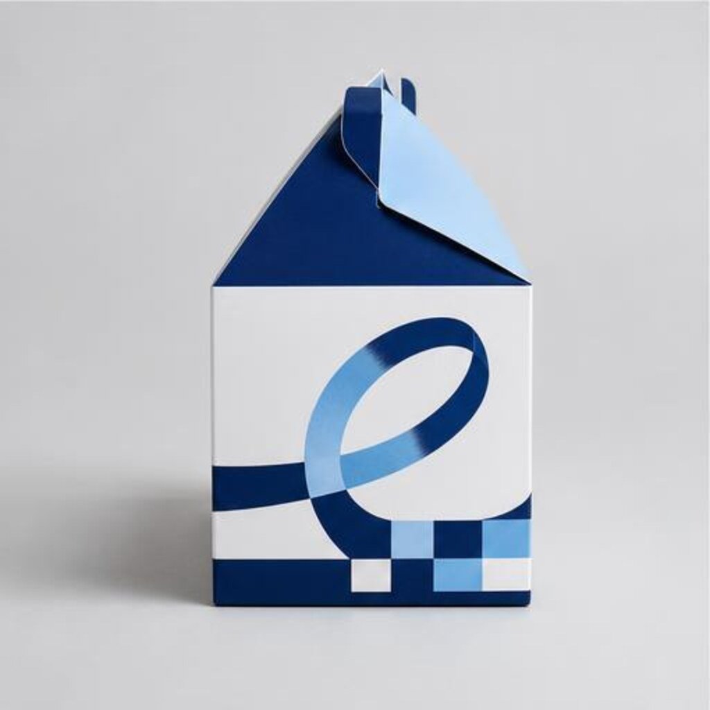 Cardboard House Boxes