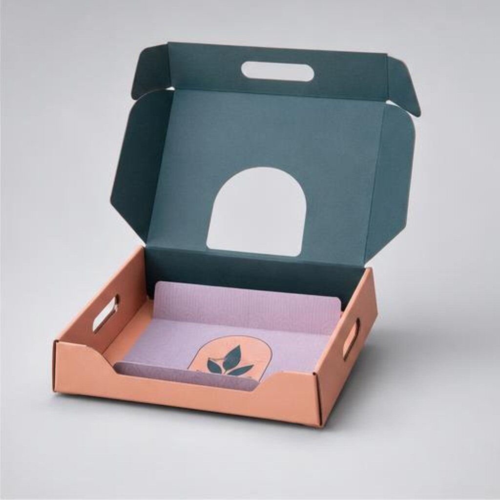Cardboard Tray Box