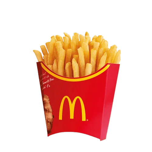 French Fry Boxes view 4