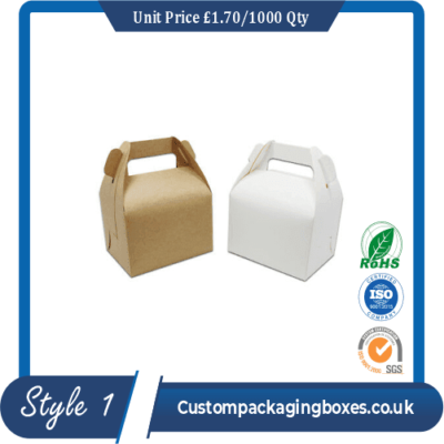 Carrying case box with handle sample #1