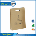 Paper Bag With Handle 01