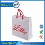 Paper Carrier Bags 04