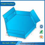 Hexagon Tray Boxes 03