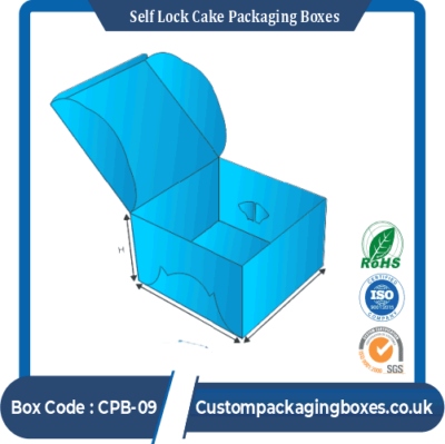 Self Lock Cake Packaging Boxes template # 1